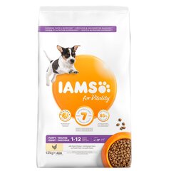 Iams ProActive Health väikest ja keskmist tõugu kutsikatele kanaga, 12 kg hind ja info | Koerte kuivtoit ja krõbinad | hansapost.ee