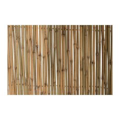Bambusest tara 4living, 2x3m hind ja info | Aiad, murupiirded, aiavõrgud | hansapost.ee