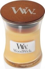 Lõhnaküünal WoodWick Seaside Mimosa 85 g hind ja info | Küünlad, küünlajalad | hansapost.ee