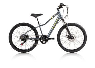 Elektrijalgratas Hero Mtb Steel 24", hall цена и информация | Электровелосипеды | hansapost.ee