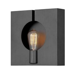 Quintiesse настенный светильник Ludlow цена и информация | Настенные светильники | hansapost.ee