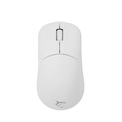 Компьютерная мышь White Shark WGM-5015 Aero White цена и информация | Компьютерные мыши | hansapost.ee