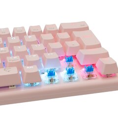 Переключатели White Shark GK-002421 Wakizashi Pink, США, синие цена и информация | Клавиатура с игровой мышью 3GO COMBODRILEW2 USB ES | hansapost.ee