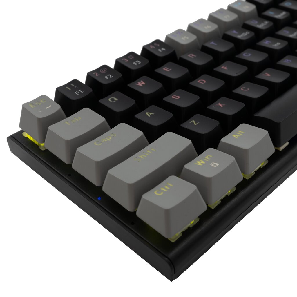 White Shark GK-002111 Wakizashi Black-Grey US Red Switches hind ja info | Klaviatuurid | hansapost.ee