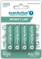 Patareid everactive infiniti 1100mah aa , 4 tk. цена и информация | Батерейки | hansapost.ee