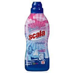 Kangas- ja värvisõbralik vedel pesuvahend käsipesuks SCALA 750 ml hind ja info | Pesuvahendid | hansapost.ee