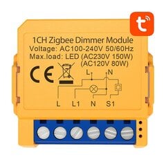 Nutikas pistikupesa lüliti ZigBee Avatto ZDMS16-2 TUYA hind ja info | Taimeriga pistikud ja termostaadid | hansapost.ee