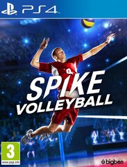 Spike Volleyball hind ja info | Bigben Arvutid ja IT- tehnika | hansapost.ee