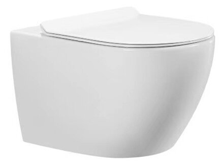 Seinale kinnitatav WC-pott 3424 цена и информация | WС-potid | hansapost.ee
