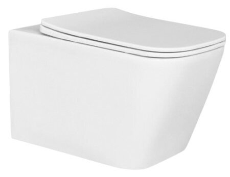 Seinale kinnitatav WC-pott 3427 цена и информация | WС-potid | hansapost.ee