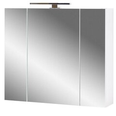 Зеркальный шкафчик Aatrium Salinas, 76x18x71 см, белый цена и информация | Шкафчики для ванной | hansapost.ee