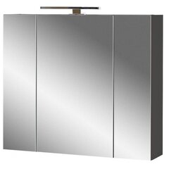 Зеркальный шкафчик Aatrium Salinas, 76x18x71 см, серый цена и информация | Шкафчики для ванной | hansapost.ee