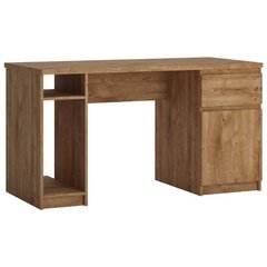 Письменный стол Aatrium Fribo, коричневый цена и информация | Компьютерные, письменные столы | hansapost.ee
