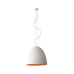 Nowodvorski подвесной светильник Egg цена и информация | Потолочный светильник, 38 x 38 x 24 см | hansapost.ee