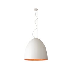 Nowodvorski подвесной светильник Egg цена и информация | Люстры | hansapost.ee