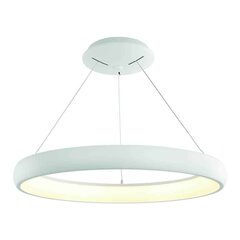 Orlicki Design подвесной светильник Rotto цена и информация | Потолочный светильник, 38 x 38 x 24 см | hansapost.ee