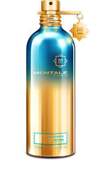 Lõhnaõli Montale So Iris Intense meestele, 100 ml hind ja info | Parfüümid meestele | hansapost.ee