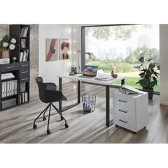 Ящик Aatrium Home Desk, 46x40x58 см, белый цвет цена и информация | Компьютерные, письменные столы | hansapost.ee