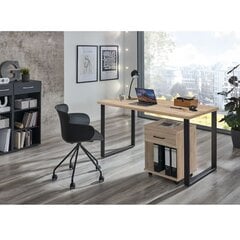 Ящик Aatrium Home Desk, 46x40x58 см, коричневый цвет цена и информация | Детские письменные столы | hansapost.ee
