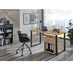 Ящик Aatrium Home Desk, 46x40x58 см, коричневый цвет цена и информация | Компьютерные, письменные столы | hansapost.ee