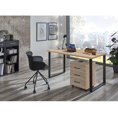 Письменный стол Aatrium Home Desk, 120x70x75, коричневый цвет kaina ir informacija | Компьютерные, письменные столы | hansapost.ee