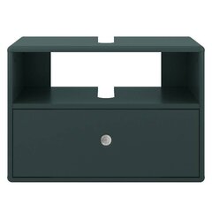 Шкаф под раковину Tenzo Color Bath, зеленый цвет цена и информация | Tenzo Мебель и домашний интерьер | hansapost.ee