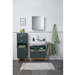 Valamukapp Tenzo Color Bath, roheline цена и информация | Шкафчики для ванной | hansapost.ee