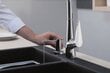 Hansgrohe seebi-/vahendidosaator 40448670 цена и информация | Vannitoa aksessuaarid | hansapost.ee