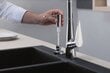 Hansgrohe seebi-/vahendidosaator 40448670 цена и информация | Vannitoa aksessuaarid | hansapost.ee