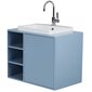 Vannitoakapp koos valamuga Tenzo Color Bath, 80x50x62 cm, sinine цена и информация | Vannitoakapid | hansapost.ee