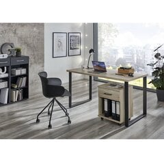 Ящик Aatrium Home Desk, 46x40x58 см, коричневый цвет цена и информация | Компьютерные, письменные столы | hansapost.ee