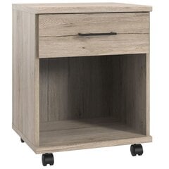 Ящик Aatrium Home Desk, 46x40x58 см, коричневый цвет цена и информация | Компьютерные, письменные столы | hansapost.ee