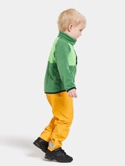 Didriksons laste fliis dressipluus Monte Half Button 3, roheline цена и информация | Свитеры, жилетки, пиджаки для мальчиков | hansapost.ee