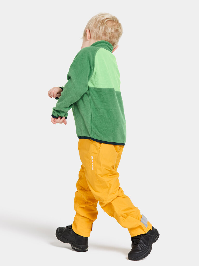 Didriksons laste fliis dressipluus Monte Half Button 3, roheline hind ja info | Kampsunid, vestid ja jakid poistele | hansapost.ee