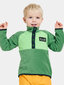 Didriksons laste fliis dressipluus Monte Half Button 3, roheline hind ja info | Kampsunid, vestid ja jakid poistele | hansapost.ee