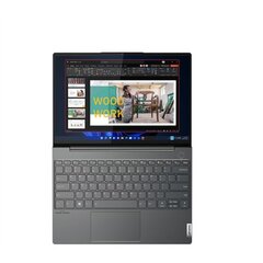 Lenovo ThinkBook 13x G2 IAP (21AT003MMH) hind ja info | Sülearvutid | hansapost.ee