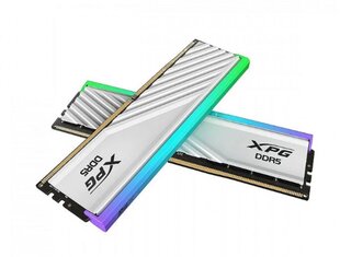 Adata XPG Lancer Blade (AX5U6000C3032G-DTLABWH) цена и информация | Объём памяти | hansapost.ee