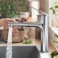 HANSGROHE Zesis M33 valamusegisti väljatõmmatava voolikuga, kroom 74801000 цена и информация | Vannitoa segistid | hansapost.ee