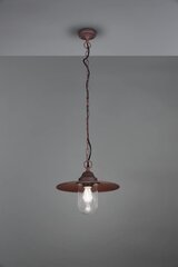 Trio подвесной светильник Brenta цена и информация | Потолочный светильник, 38 x 38 x 24 см | hansapost.ee