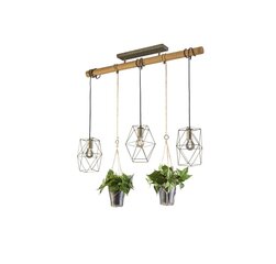 Trio подвесной светильник Plant цена и информация | Люстры | hansapost.ee