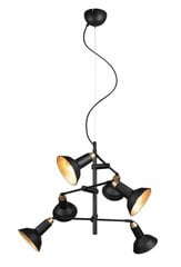 Trio подвесной светильник Roxie цена и информация | Потолочный светильник, 38 x 38 x 24 см | hansapost.ee