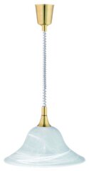 Trio подвесной светильник Viola цена и информация | Потолочный светильник, 38 x 38 x 24 см | hansapost.ee