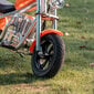 Elektritõukeratas Manta Xrider Cruiser 12", oranž hind ja info | Elektritõukerattad | hansapost.ee