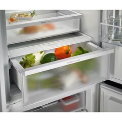 Electrolux ENP7MD18S цена и информация | Холодильники | hansapost.ee