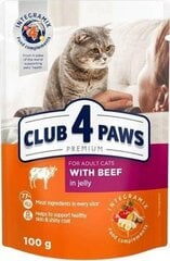 CLUB 4 PAWS PREMIUM Влажный корм для кошек - говядина в желе 24 x 100 г цена и информация | Консервы для кошек | hansapost.ee