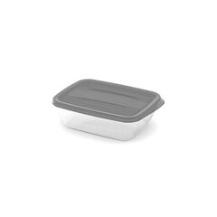 Пищевой контейнер прямоугольный 0,5 л Vedo прозрачный серый цена и информация | Контейнеры для хранения продуктов | hansapost.ee