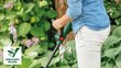 Juhtmeta trimmer Bosch Easy GrassCut 18V, ilma akuta цена и информация | Trimmerid | hansapost.ee