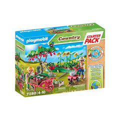 71380 Playmobil Country Vegetable Garden фигурки цена и информация | Конструкторы и кубики | hansapost.ee