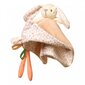Kaisukas Baby Bunny BabyOno цена и информация | Beebide mänguasjad | hansapost.ee