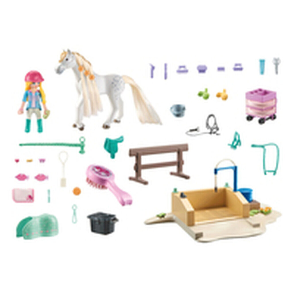 71354 Playmobil Horses of Waterfall Isabella and Lioness kujud цена и информация | Klotsid ja konstruktorid | hansapost.ee